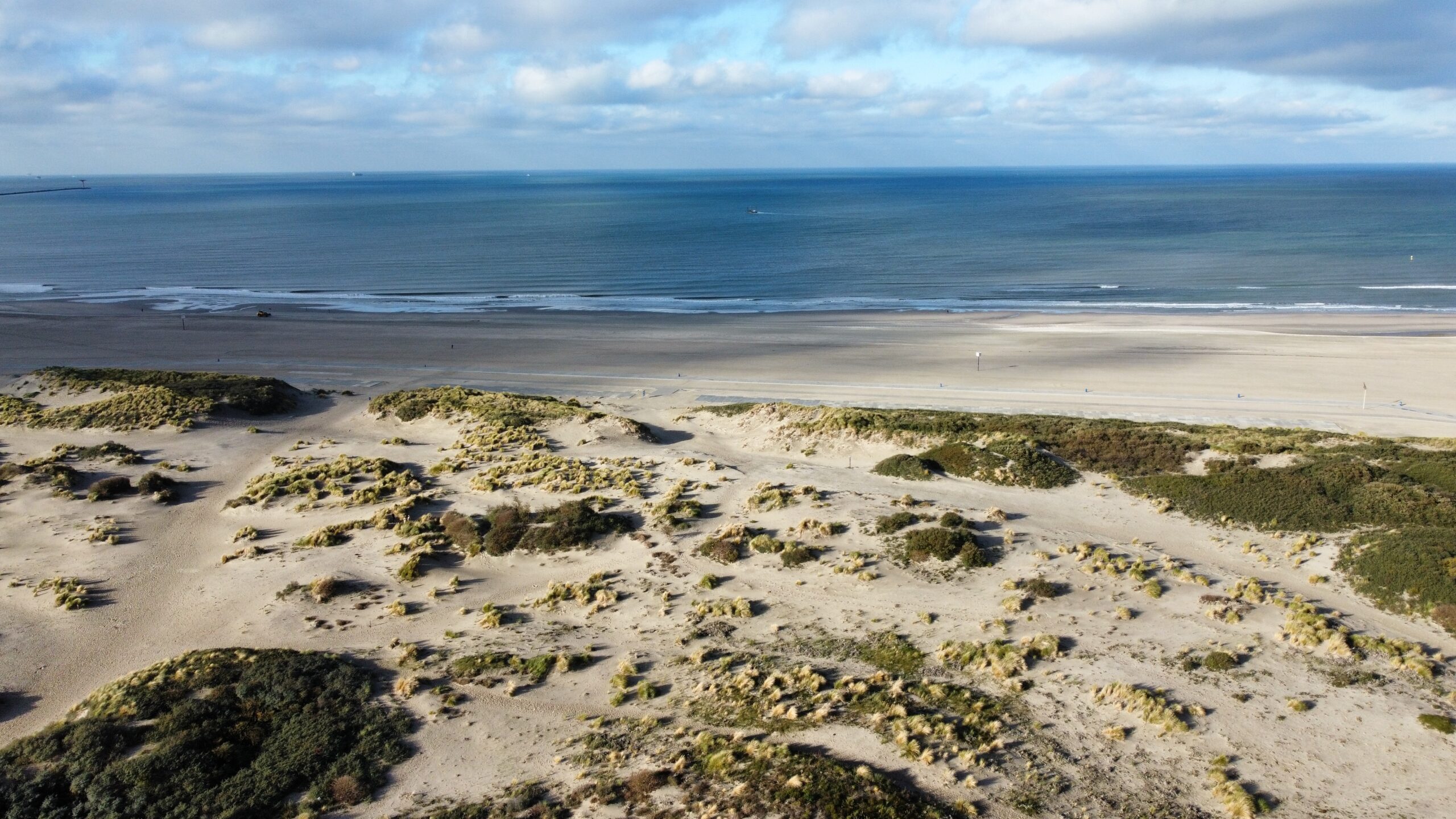 Verdedigingspark Hoek van Holland