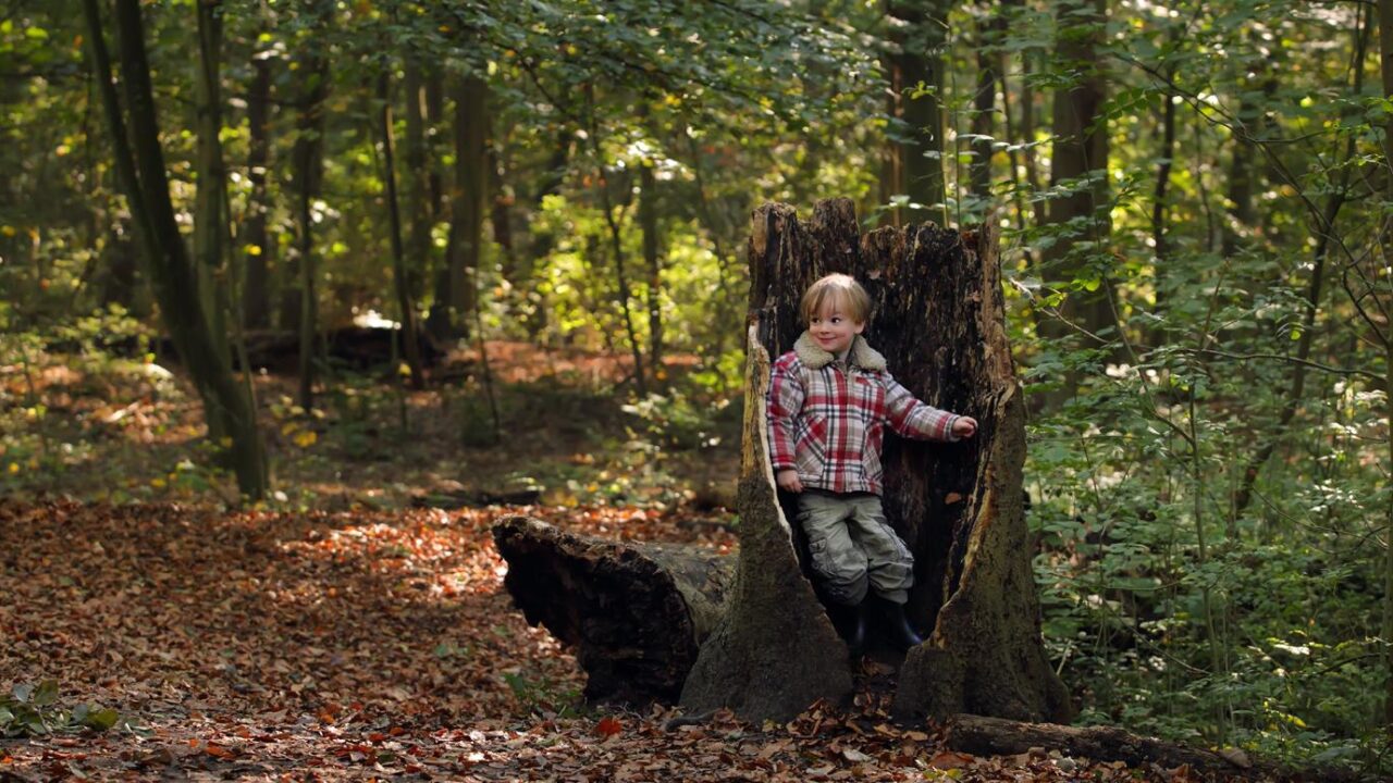 Staelduinse Bos - Foto: Holland Groen