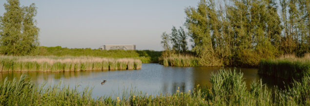 Elfenbaan