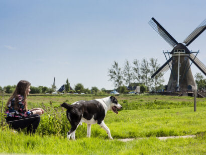 wandelen met de hond