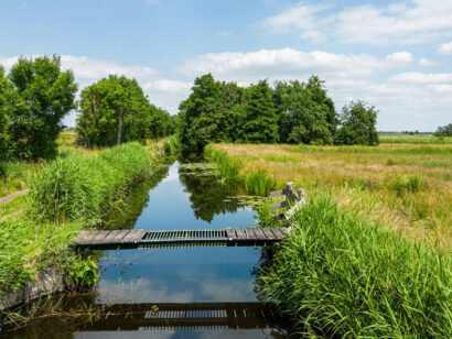 Polder-Berkenwoude-Floris-Scheplitz