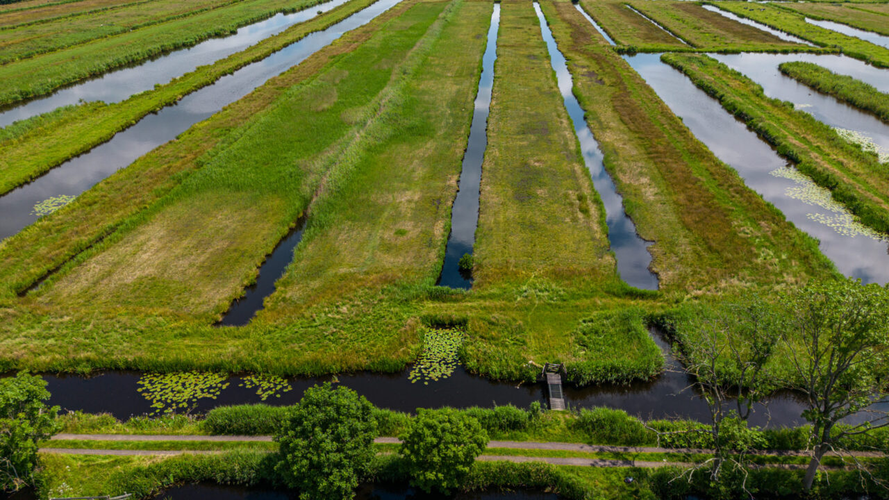 Polder Berkenwoude