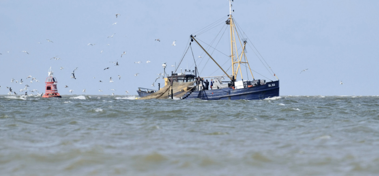 NAMO26905_garnalenvisser_foto_Martin_van_Lokven