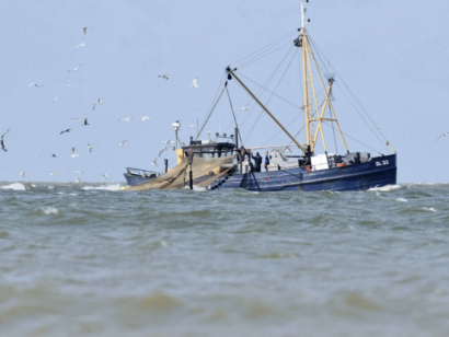 NAMO26905_garnalenvisser_foto_Martin_van_Lokven