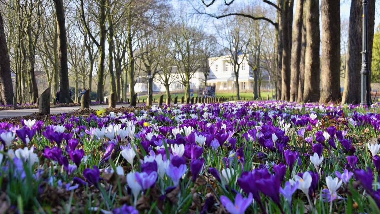 Landgoed Ockenburgh