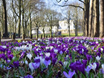 Landgoed Ockenburgh