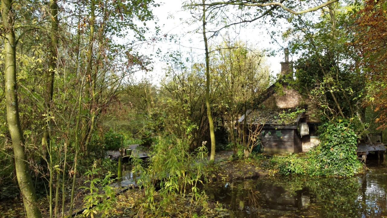 Eendenkooi Roodnat