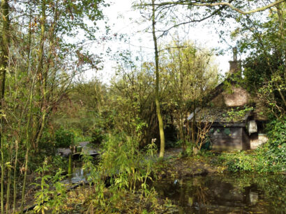 Eendenkooi Roodnat