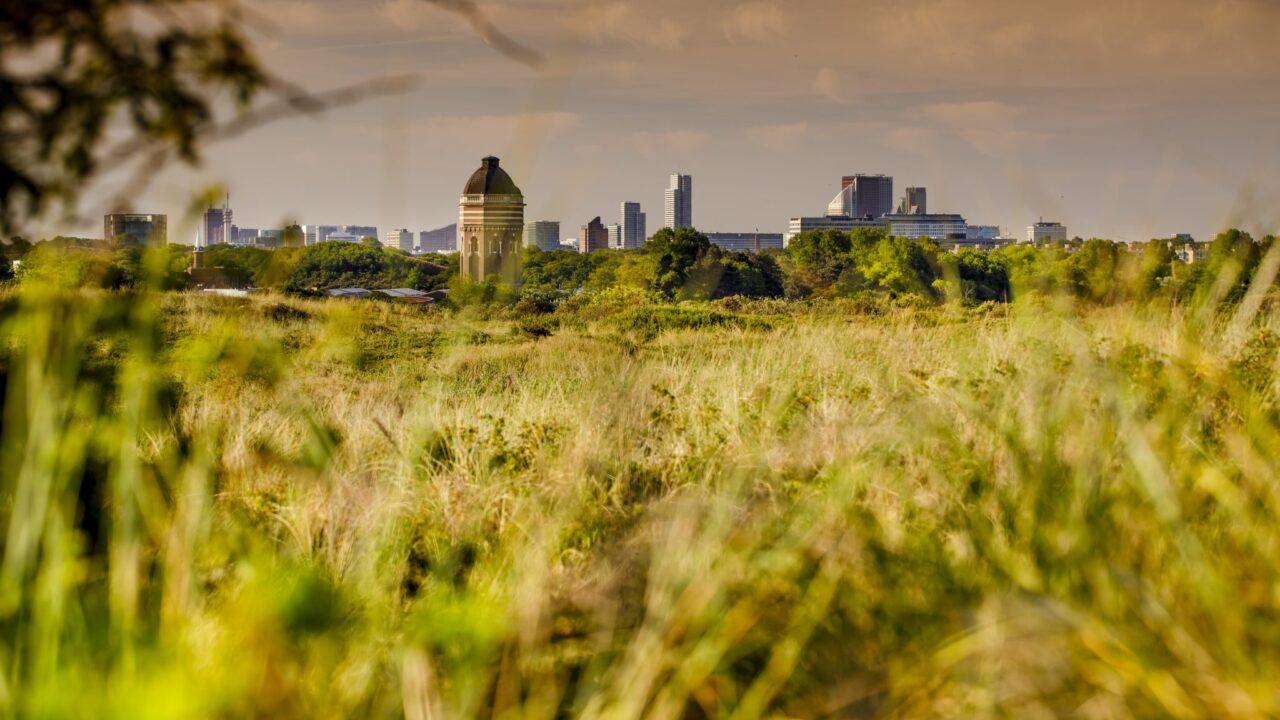 Meijendell met skyline Den Haag