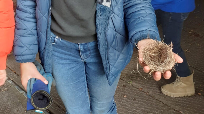 verlaten vogelnestje