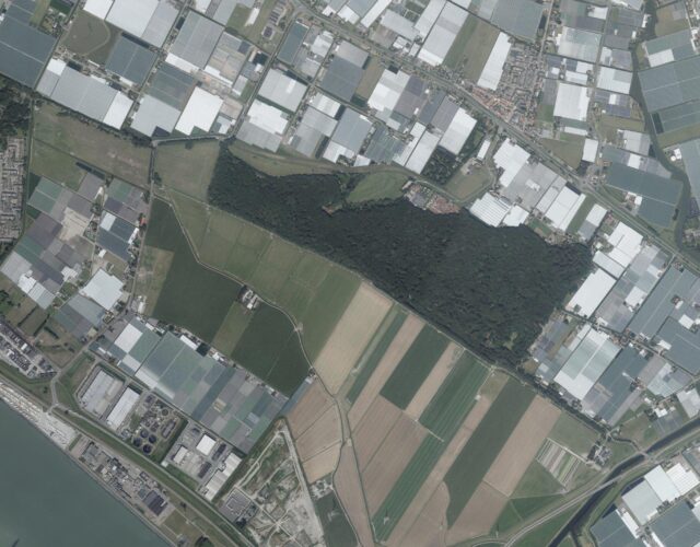 luchtfoto Staelduinse Bos