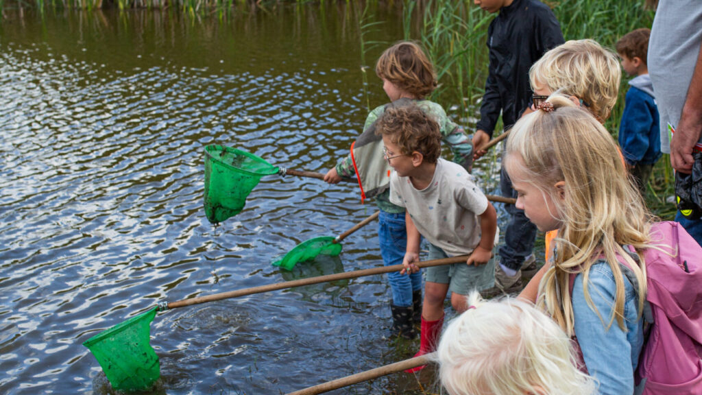 Met een schepnet het water ontdekken